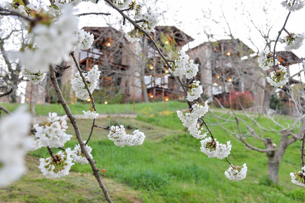 Vathyskia Guesthouse Káto Tríkala Korinthíasz Kültér fotó